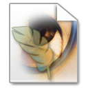 Photoshop Files icon